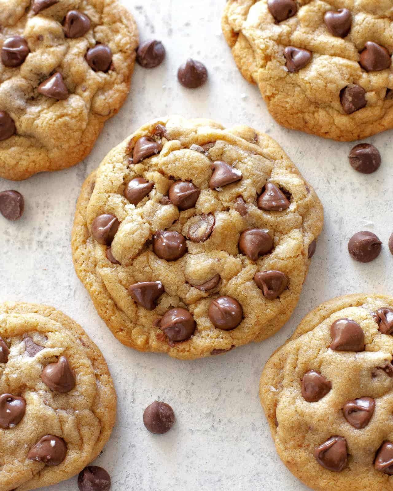 Chocolate Chip